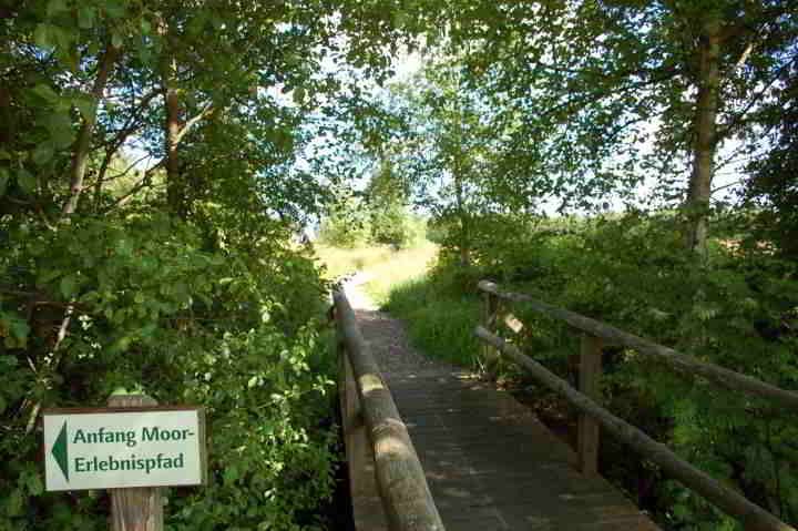 Naturschutzgebiet Huvenhoopsmoor bei Gnarrenburg in Niedersachsen